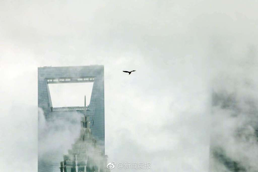 什么是Linux操作系統(tǒng)