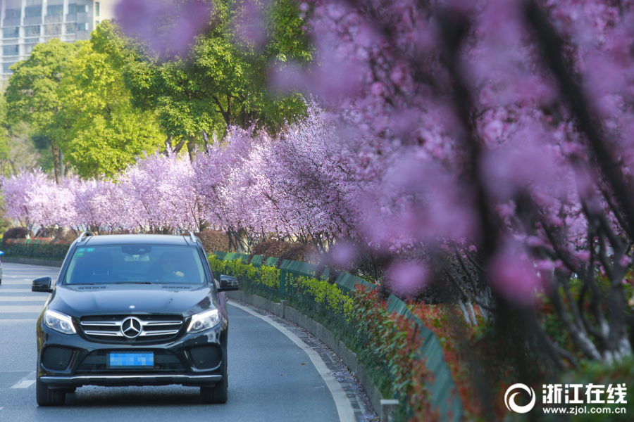 《上古卷軸：傳奇》宣傳片曝光 參加E3展