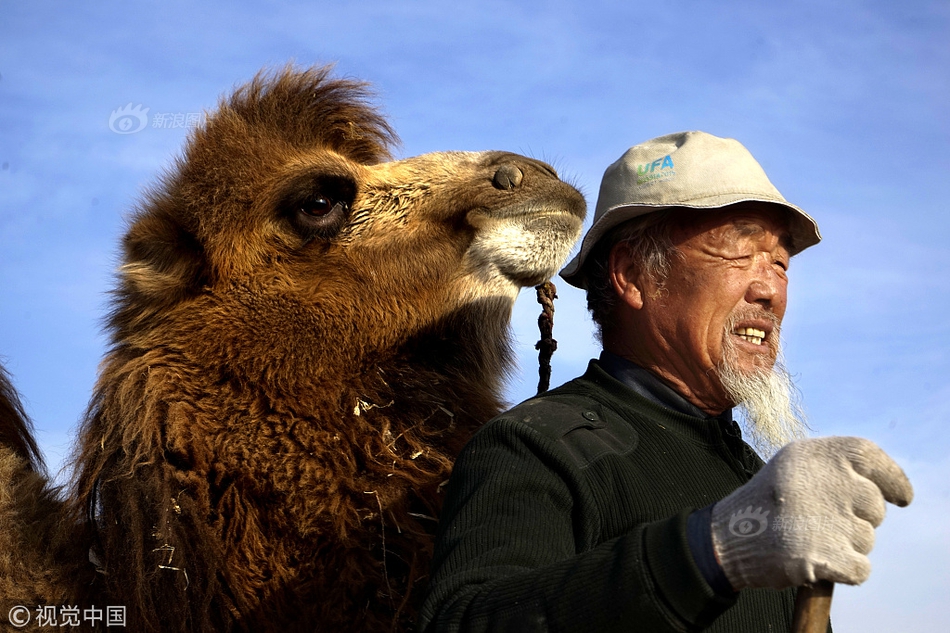 qq2013怎樣閃登,qq2013閃登運用教程